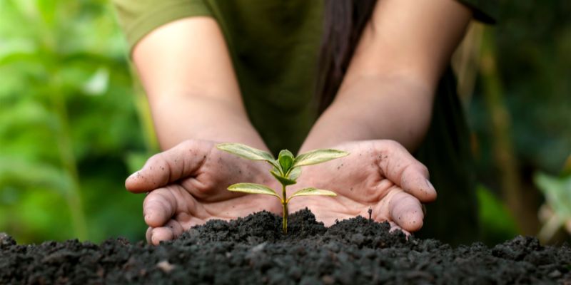 Animal Courses Direct